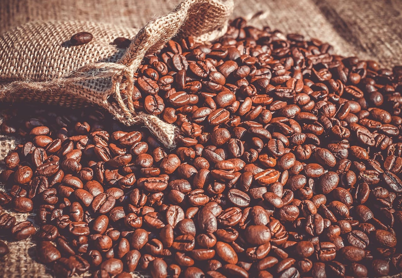 Tidewater Coffee: packaging drawn from the hillside