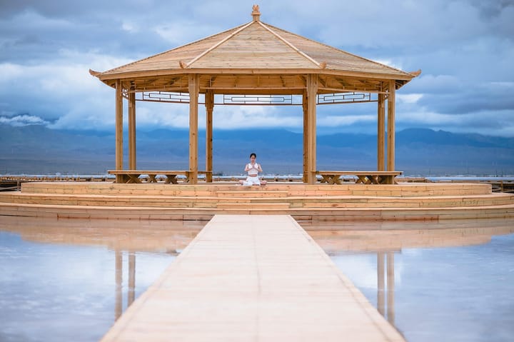 Moss Pavilion: an exhibition that asks you to kneel